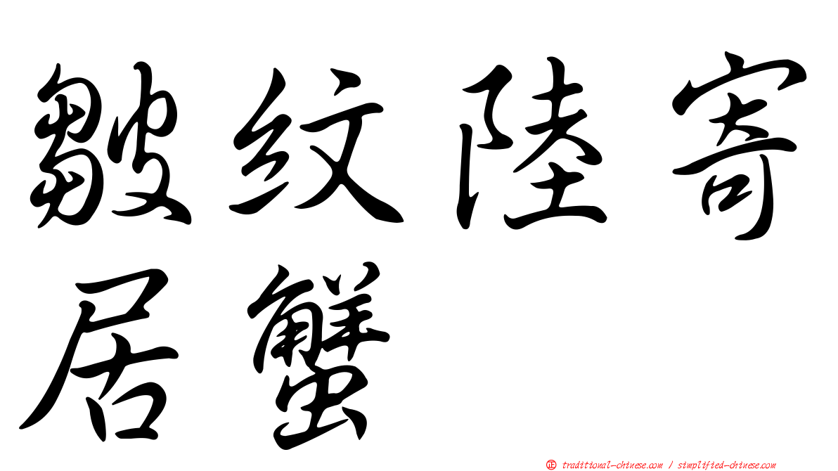 皺紋陸寄居蟹