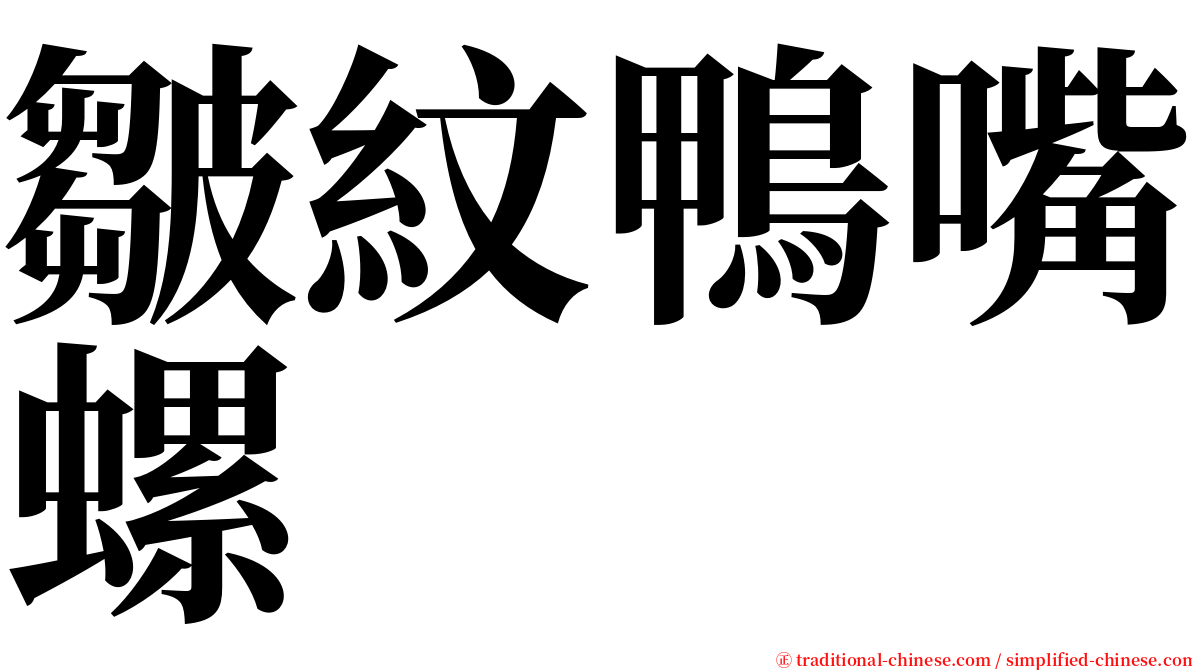 皺紋鴨嘴螺 serif font