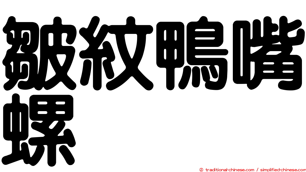 皺紋鴨嘴螺
