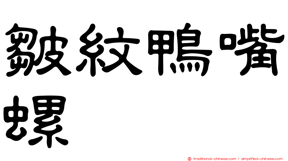 皺紋鴨嘴螺