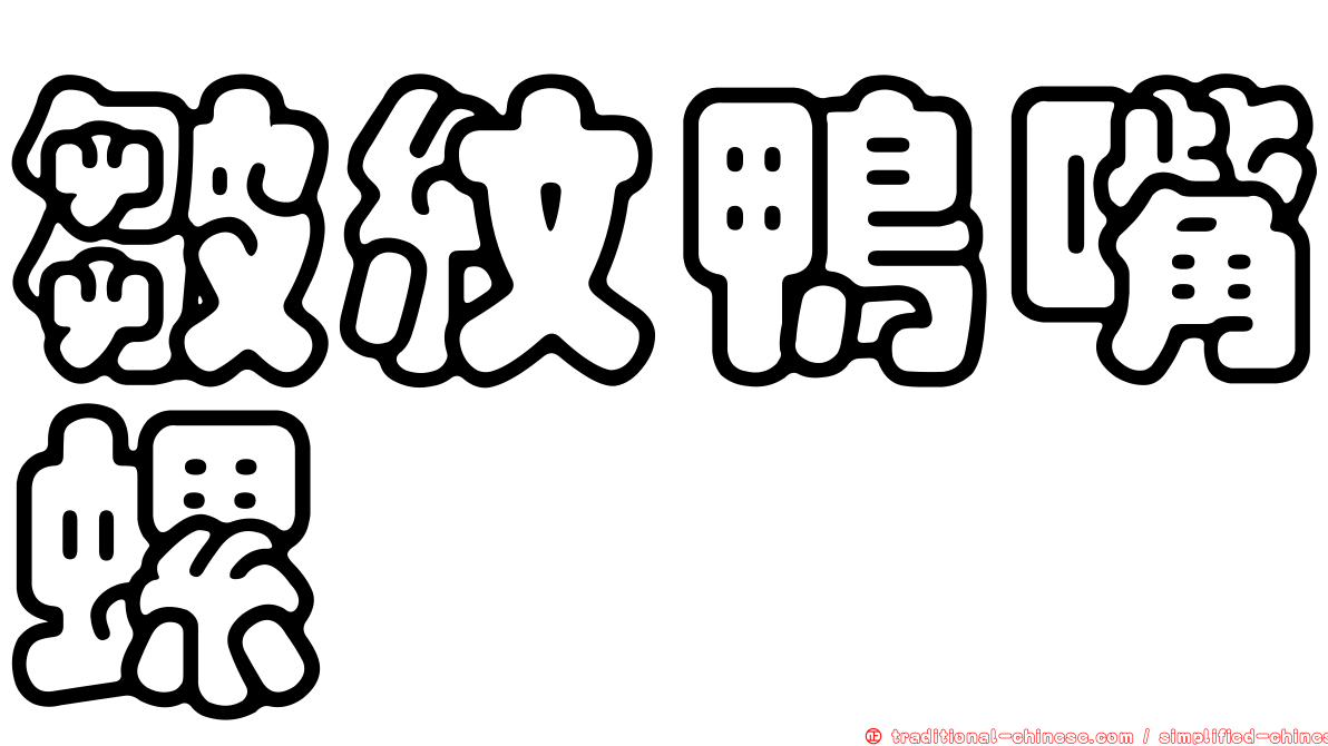 皺紋鴨嘴螺