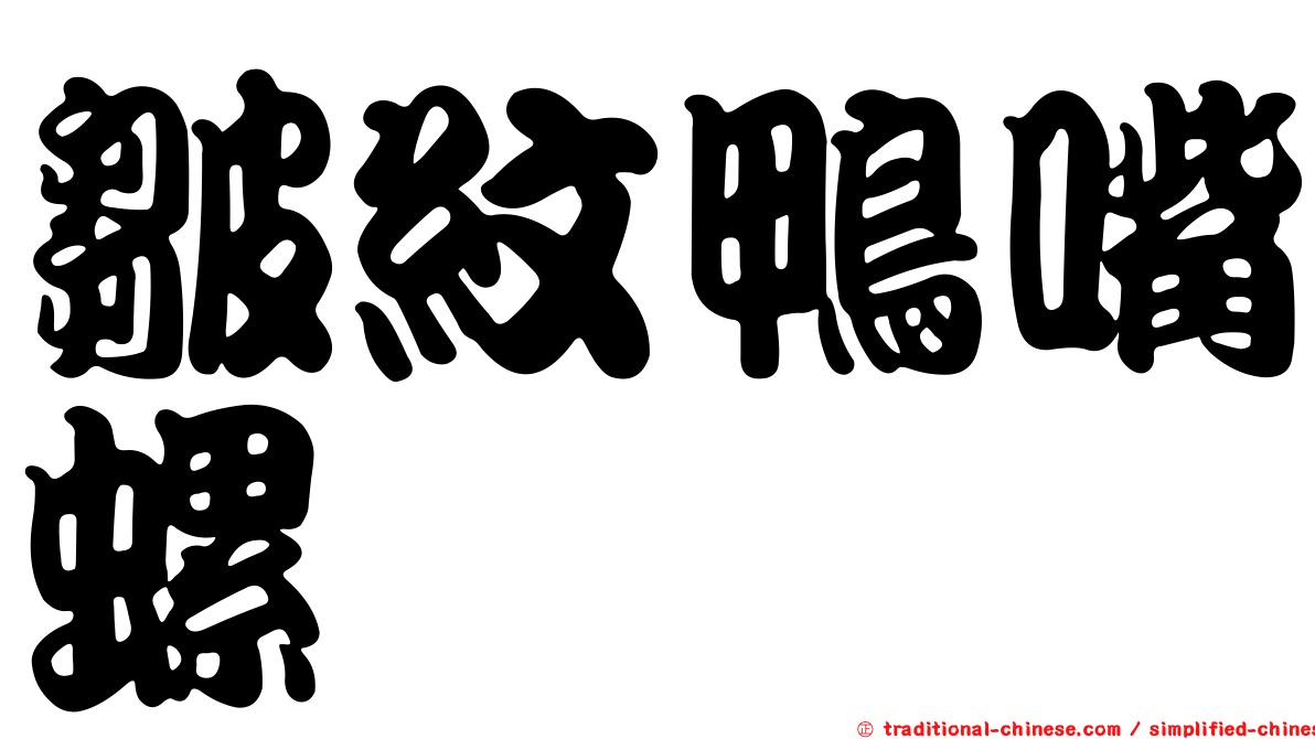皺紋鴨嘴螺