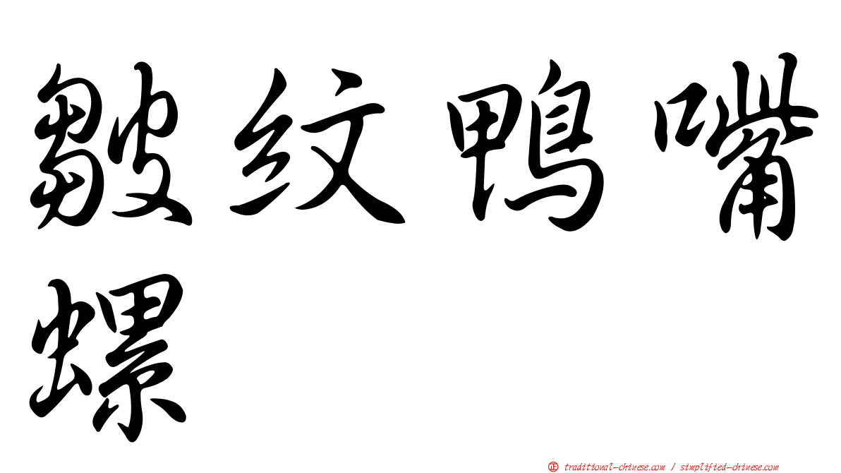 皺紋鴨嘴螺