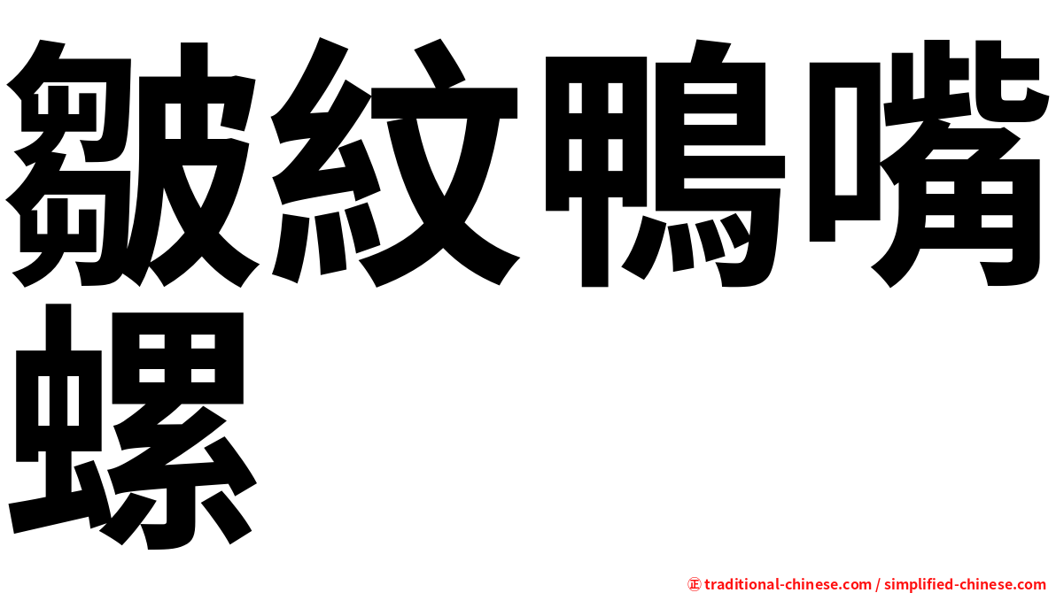 皺紋鴨嘴螺