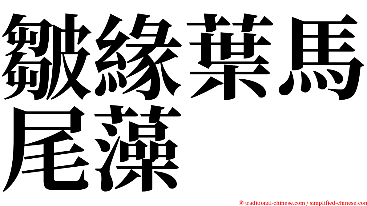 皺緣葉馬尾藻 serif font