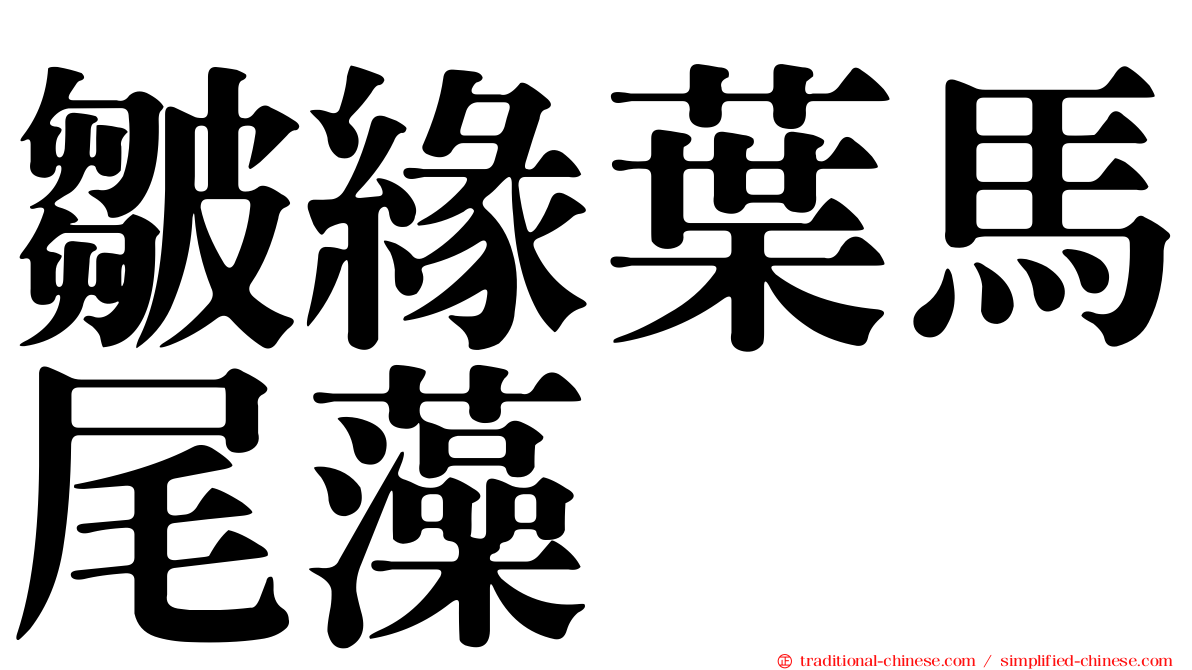 皺緣葉馬尾藻