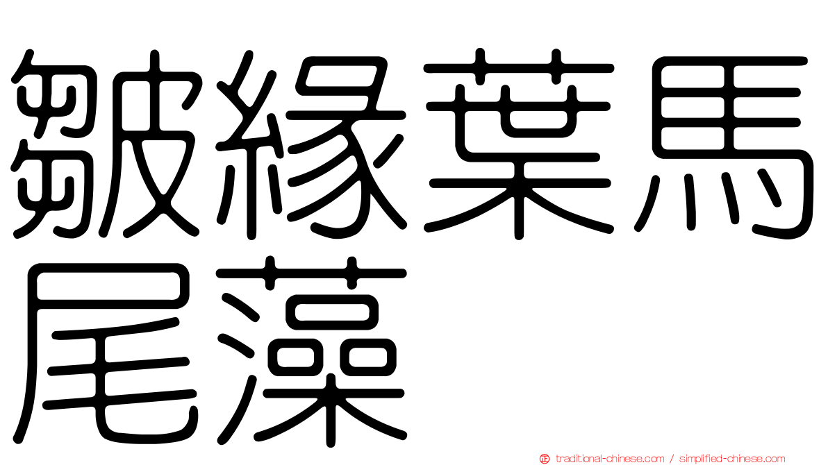 皺緣葉馬尾藻