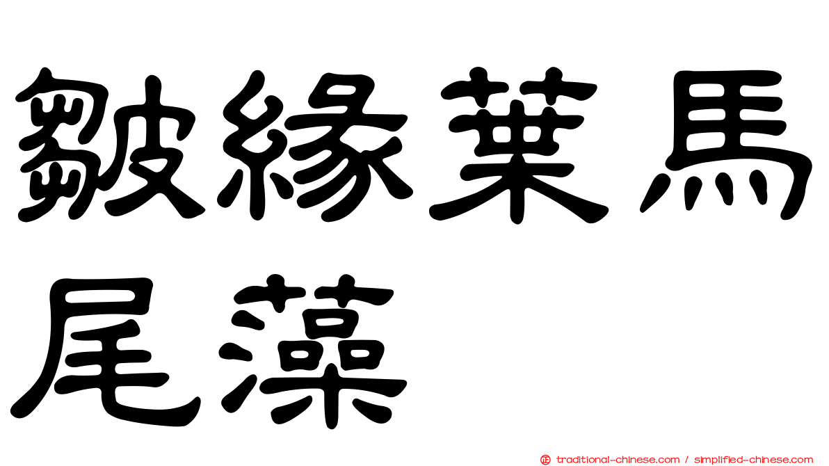皺緣葉馬尾藻