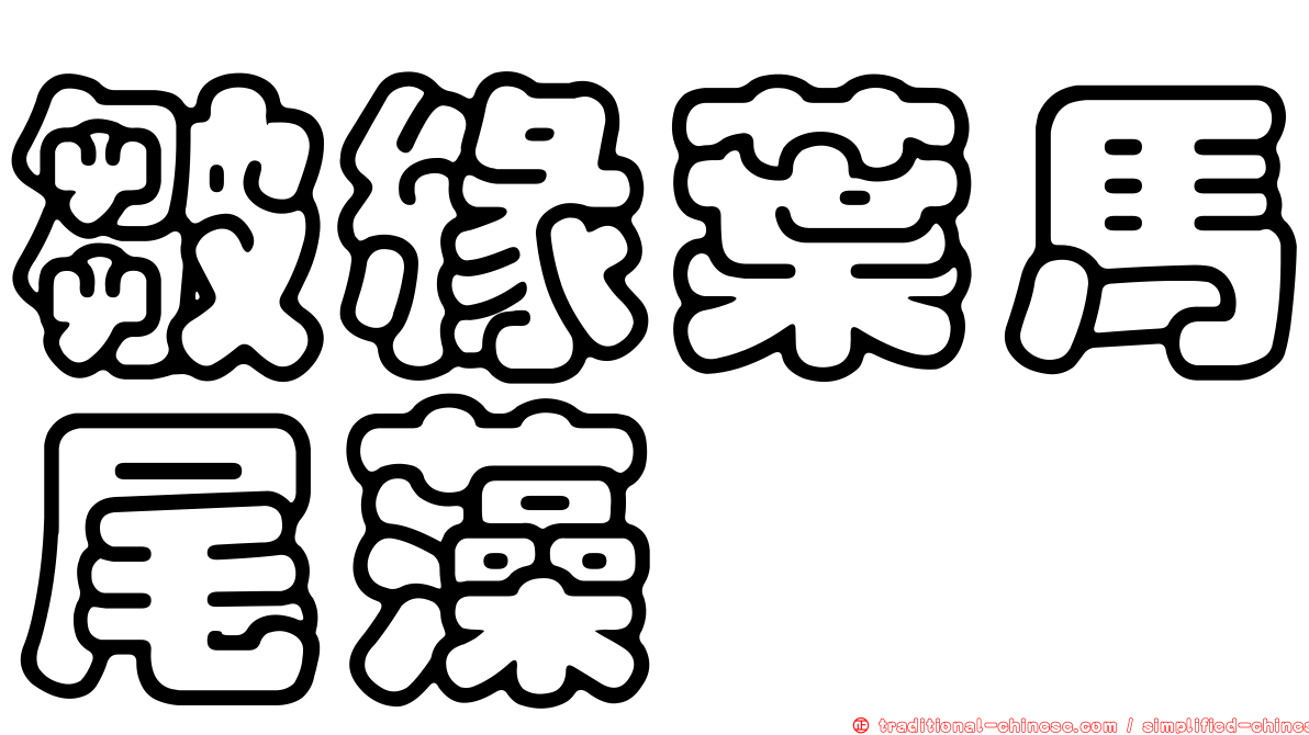 皺緣葉馬尾藻