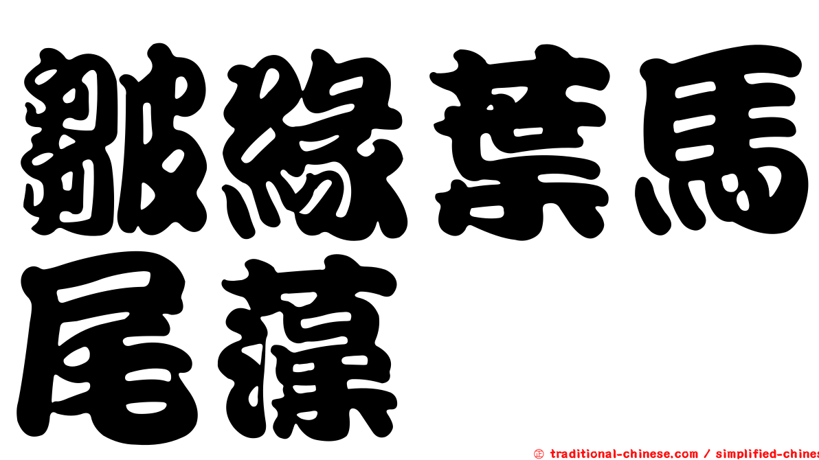 皺緣葉馬尾藻