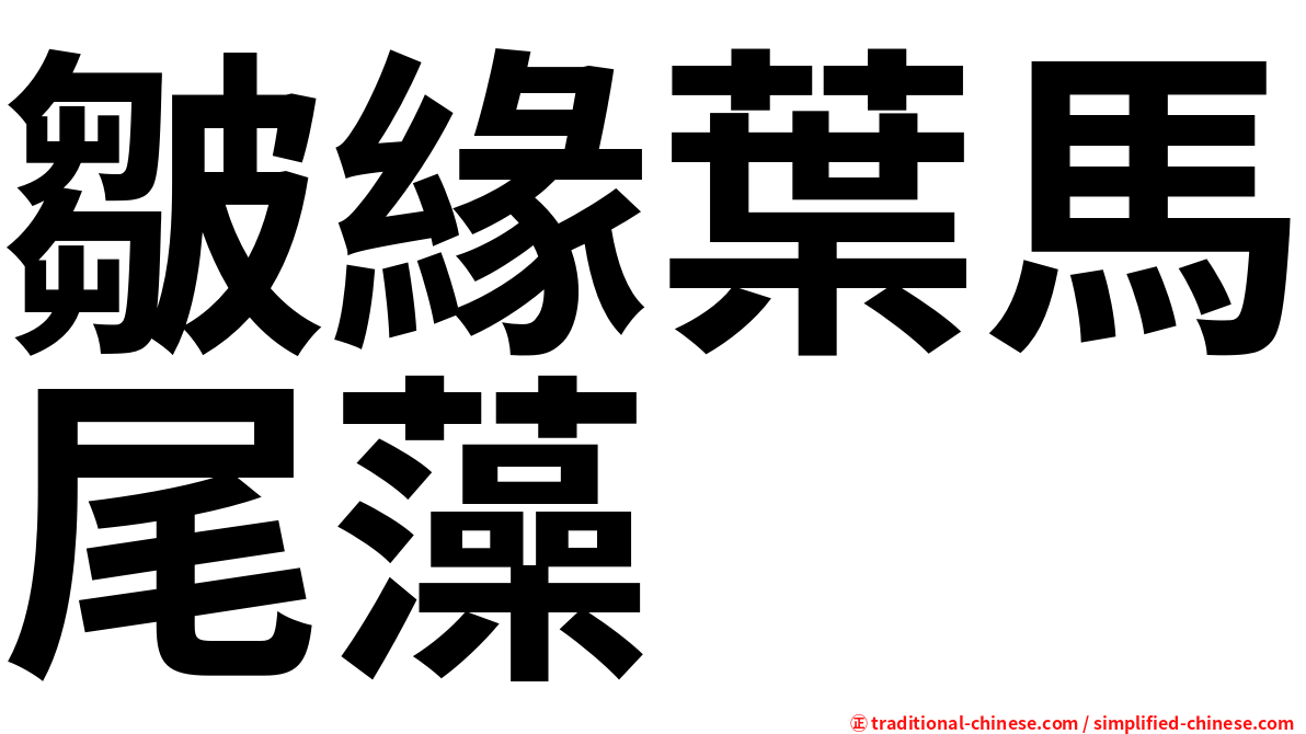 皺緣葉馬尾藻
