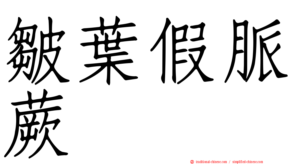 皺葉假脈蕨