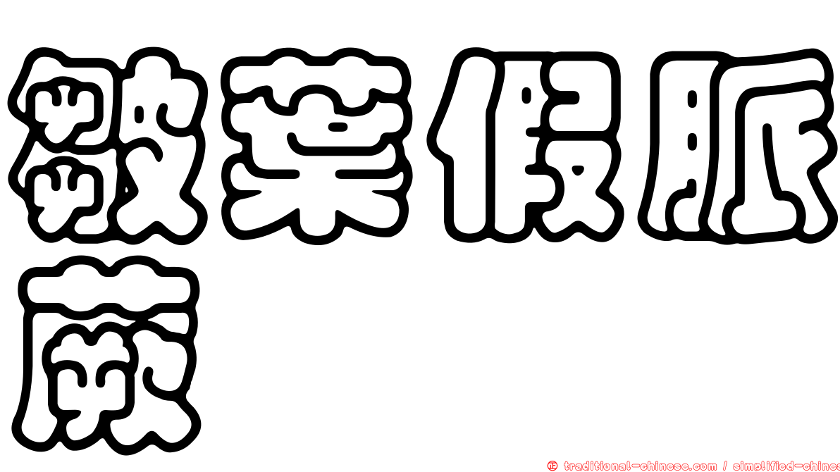皺葉假脈蕨