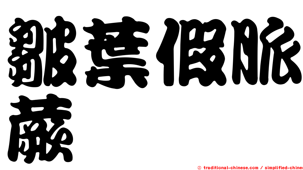 皺葉假脈蕨