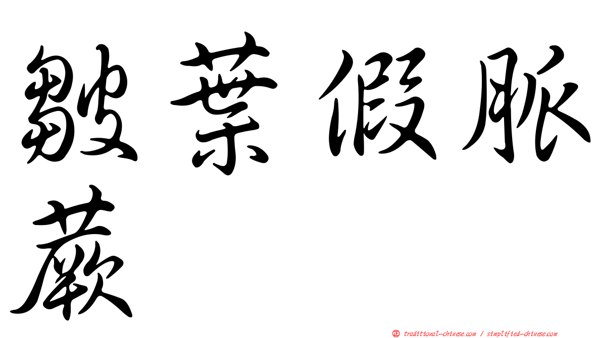 皺葉假脈蕨