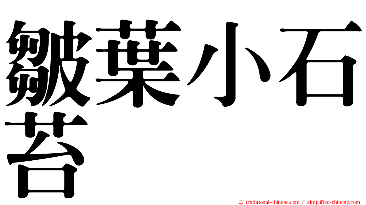 皺葉小石苔