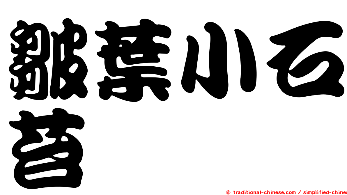 皺葉小石苔