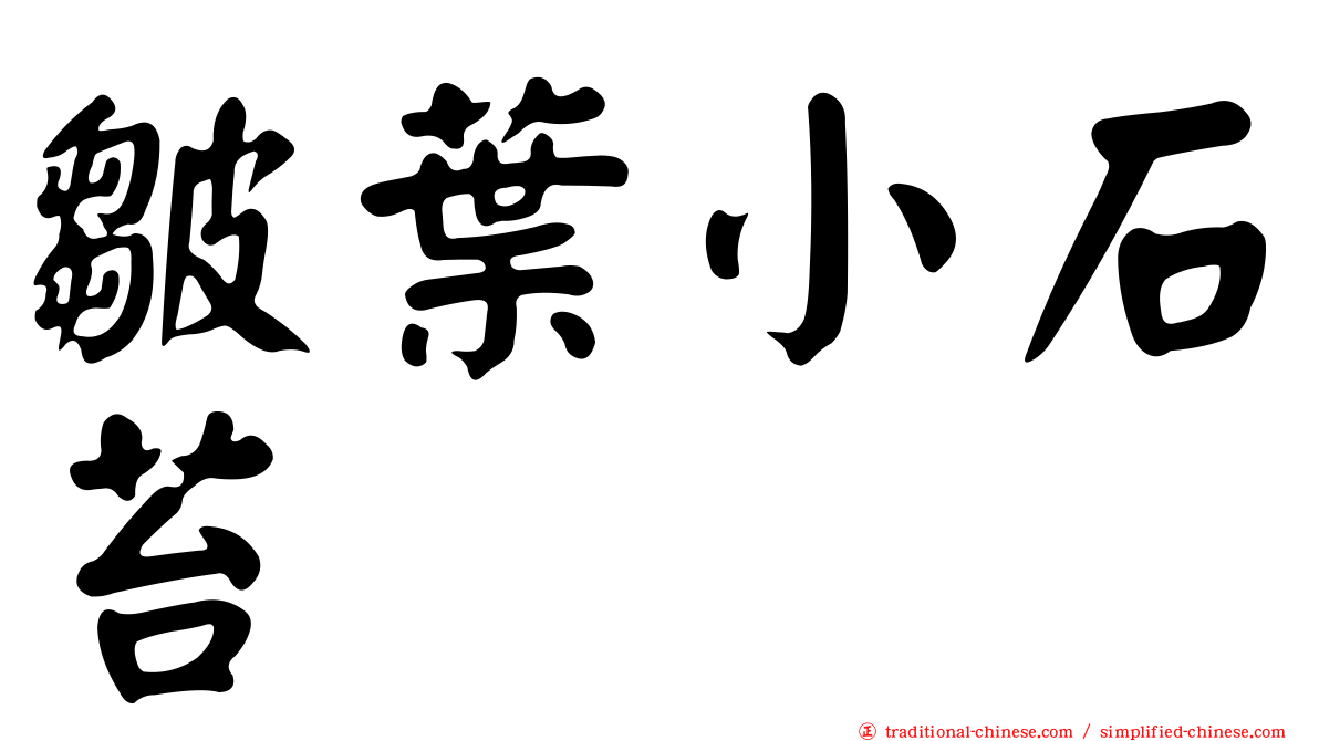 皺葉小石苔