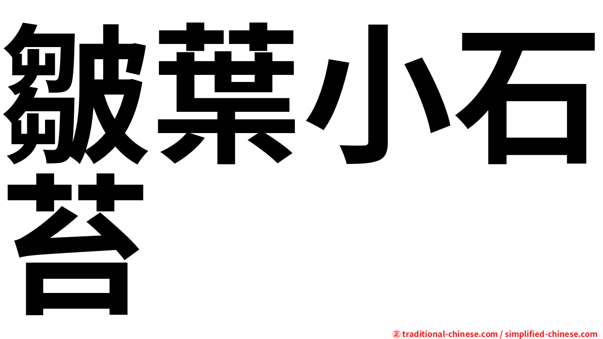 皺葉小石苔