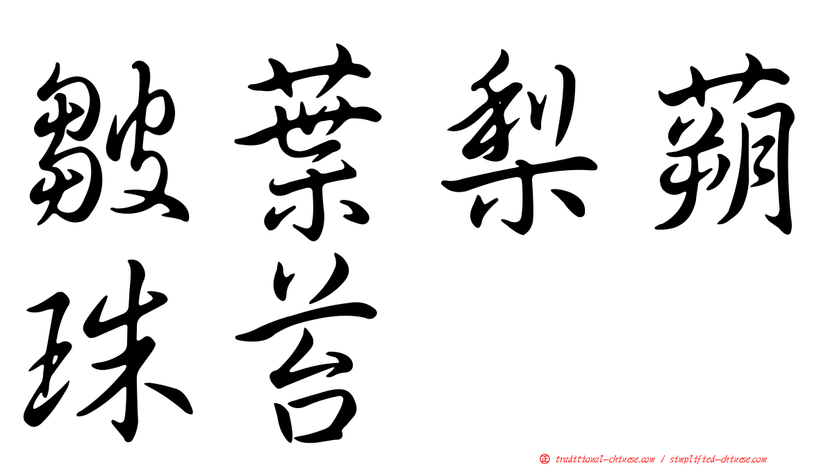 皺葉梨蒴珠苔