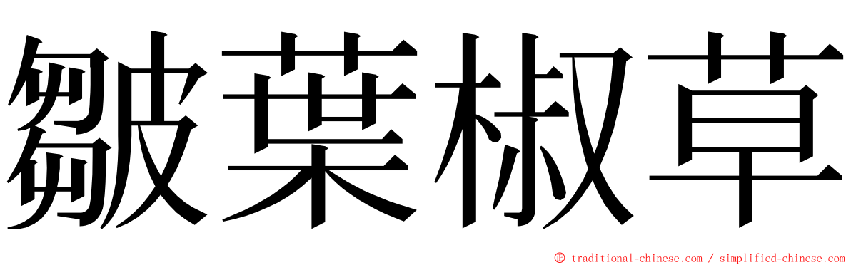 皺葉椒草 ming font