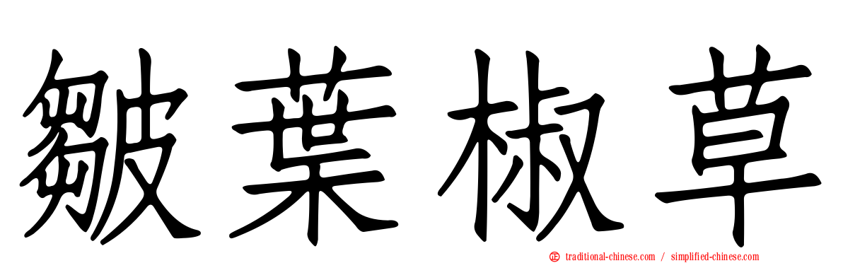皺葉椒草