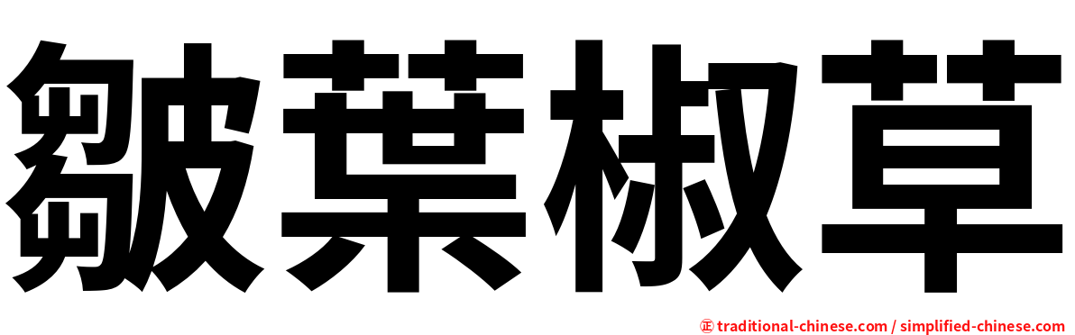 皺葉椒草
