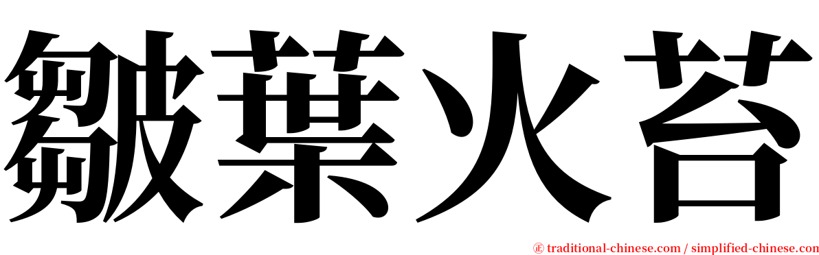 皺葉火苔 serif font