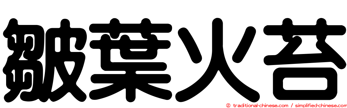 皺葉火苔
