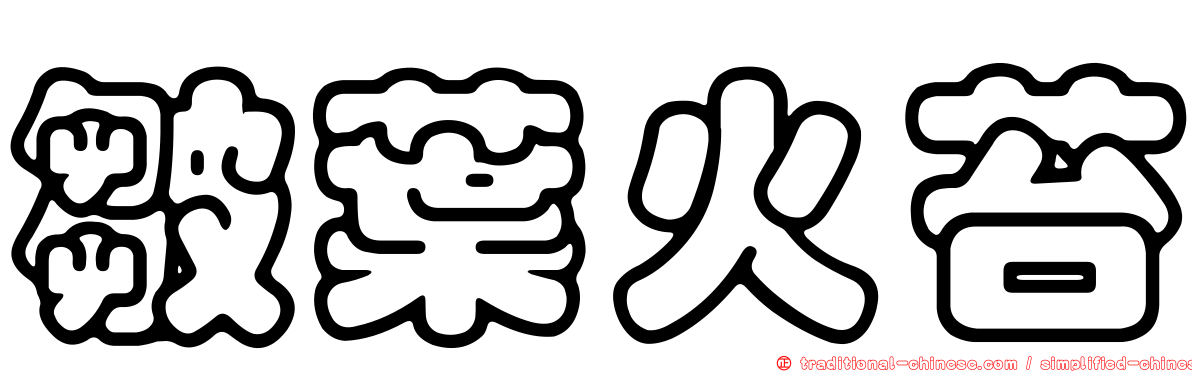 皺葉火苔