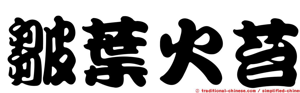 皺葉火苔