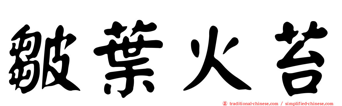 皺葉火苔
