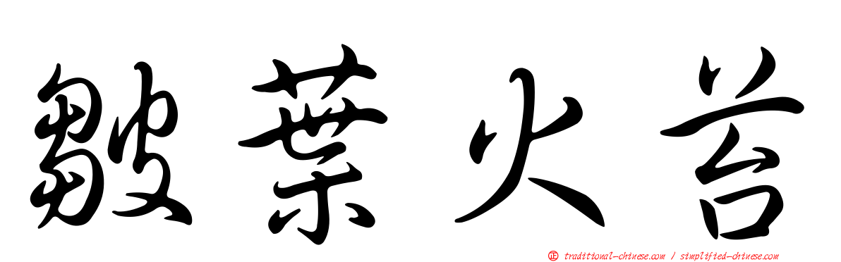 皺葉火苔