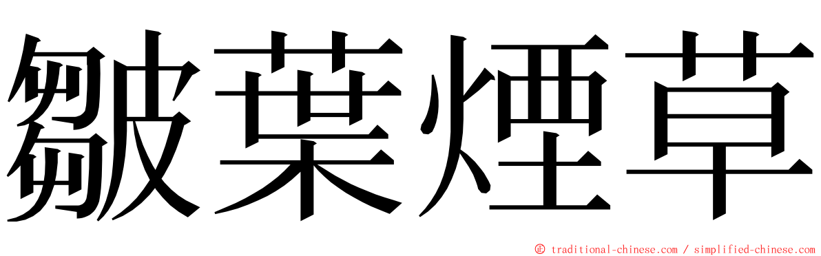 皺葉煙草 ming font