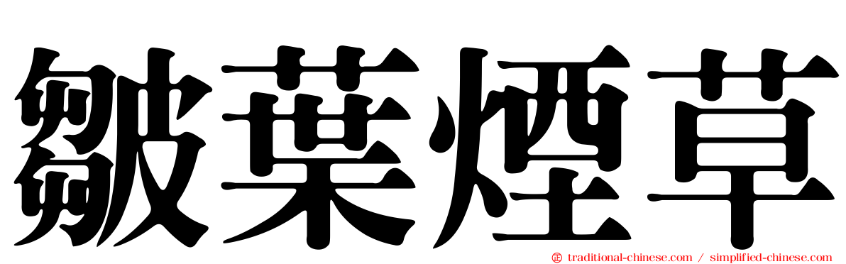 皺葉煙草