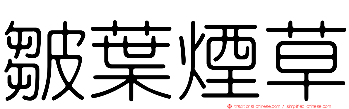 皺葉煙草