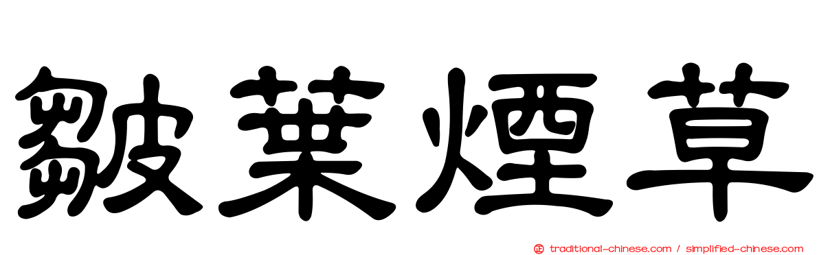 皺葉煙草