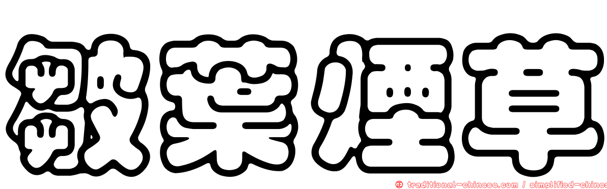 皺葉煙草