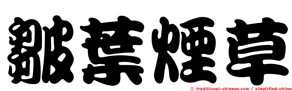 皺葉煙草