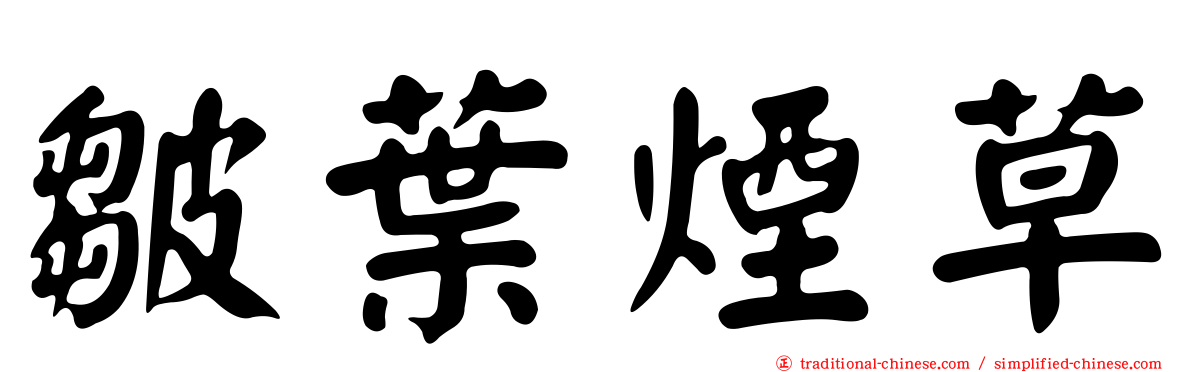皺葉煙草