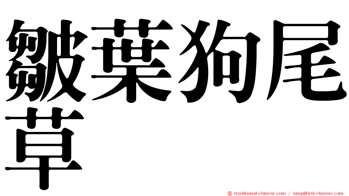 皺葉狗尾草
