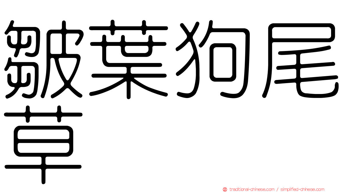 皺葉狗尾草