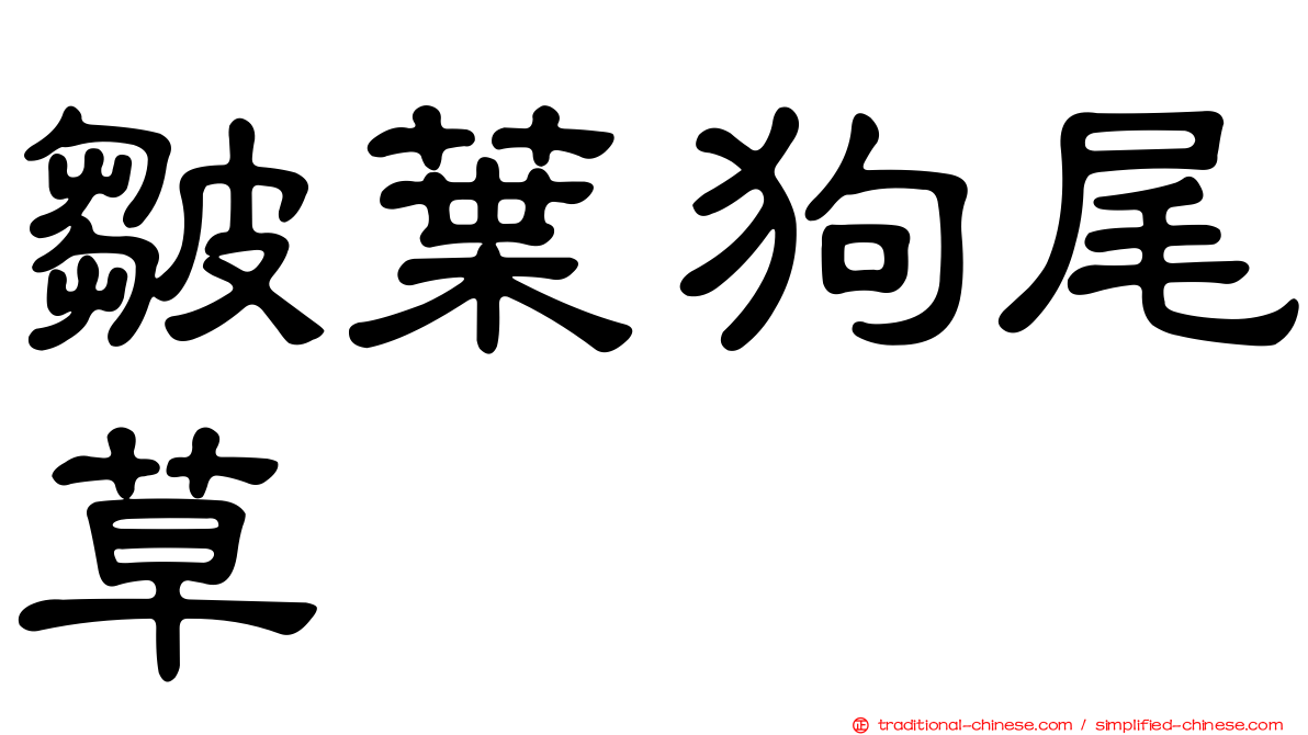 皺葉狗尾草