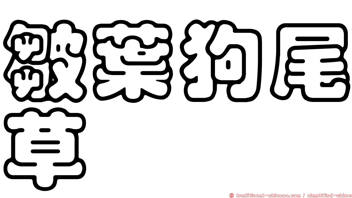 皺葉狗尾草