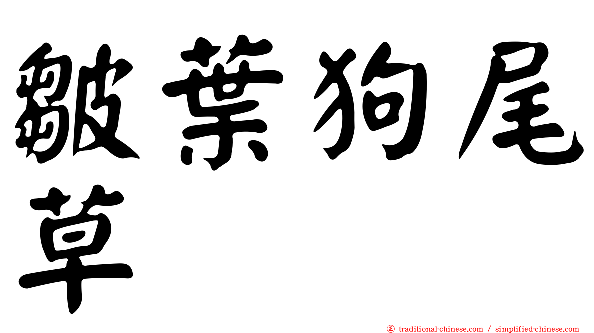 皺葉狗尾草
