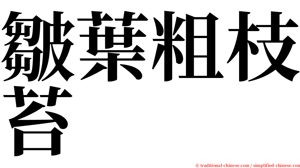 皺葉粗枝苔 serif font