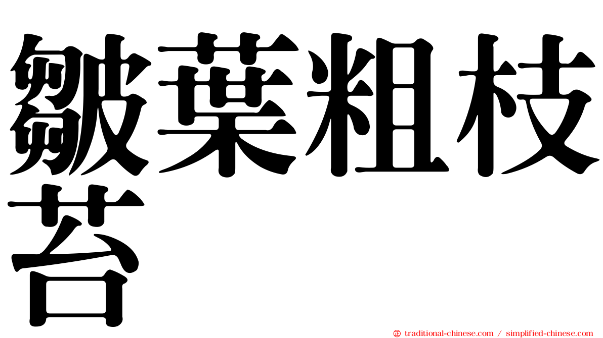 皺葉粗枝苔