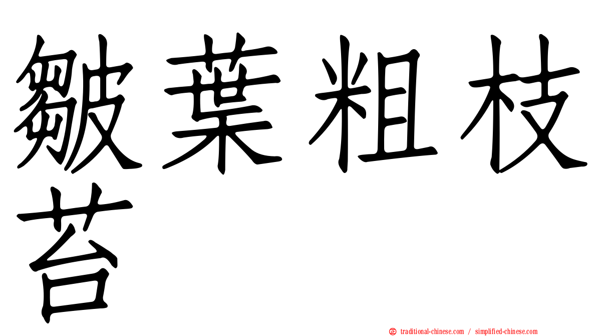 皺葉粗枝苔
