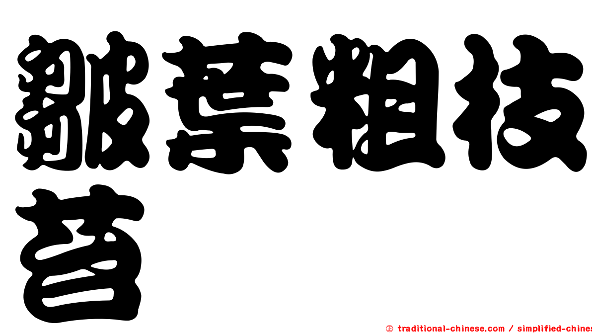 皺葉粗枝苔