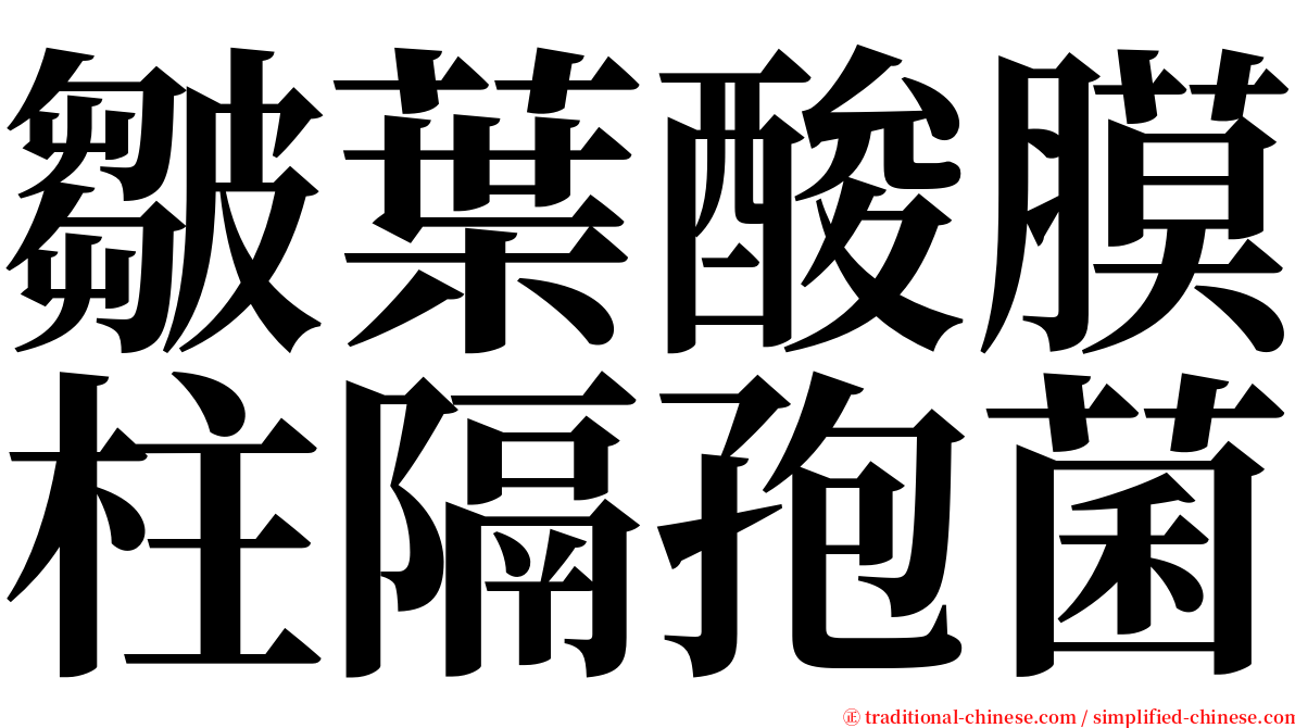 皺葉酸膜柱隔孢菌 serif font